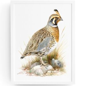 Watercolor Quail Wall Art Print, Unframed - Vibrant Nature-Inspired Home Decor